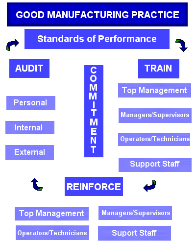 The GMP Process
