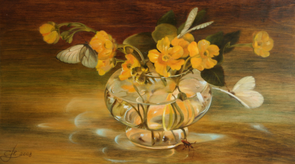 ������������ ����