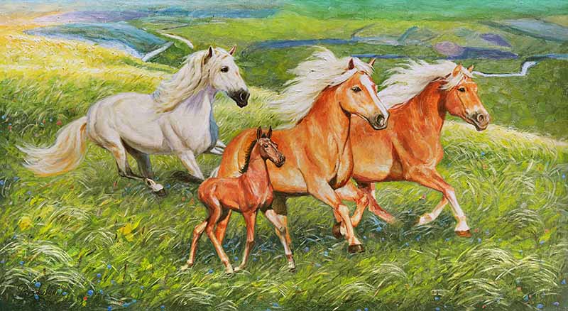 ����� ���� ������� ������...