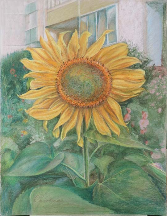 �������� � ����