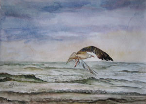 ����� ��� �����