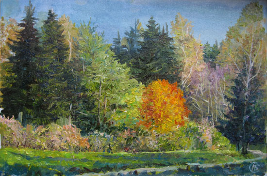 ����� ������ �����