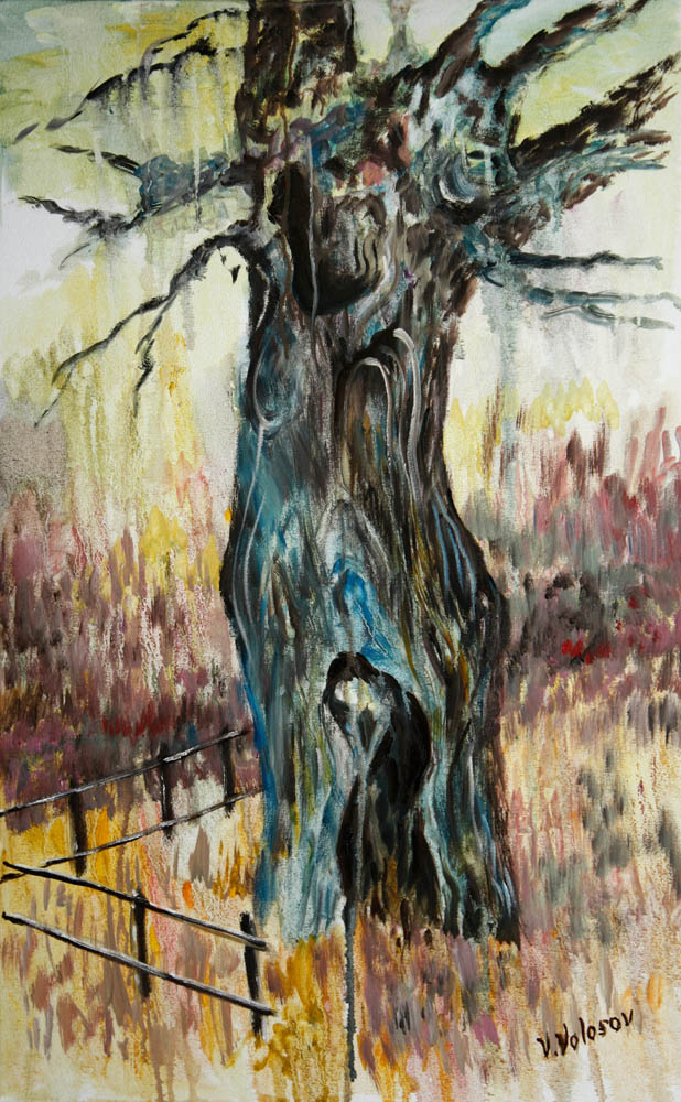 ������ ���