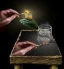 ��������� ����