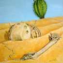 ��������� � ��������