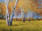Яркие краски осени. 2010 г.