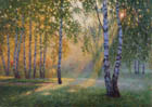 Вечернее солнце.2010 г.