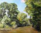 На берегах реки Кумы