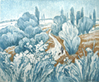 С прогулки. 2009 г.