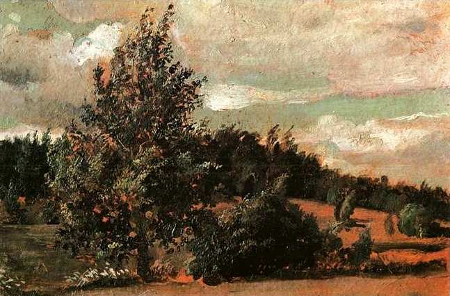 ., 1907<br>  .  <br>Landscape. Wind.<br>Oil on cardboard. The Russian Museum<br>20.5x30.5 cm 