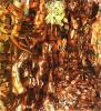   , 1914-1915<br>  .  <br>The War with Germany<br>Oil on canvas. The Russian Museum<br>176x156.3 cm