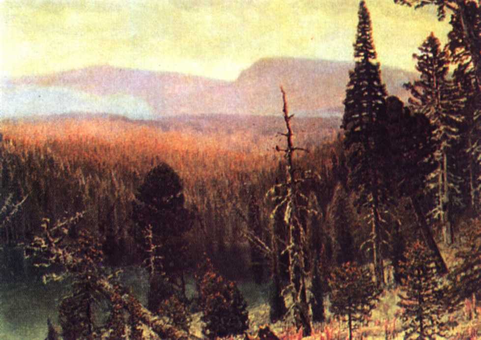   .  . 1891.  