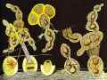 The Gramineous Bicycle Garnished with Bells the Dappled Fire Damps and the Echinoderms Bending the Spine to Look for Caresses. 1920/21. Gouache on print. The Museum of Modern Arts, New York, NY, USA. <br> 74.3 x 99.7 cm