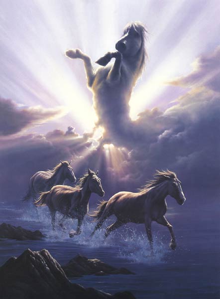 Wild Spirit <br>   
