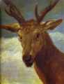  . 1626/27. , .  , <br>Head of a Stag. 1626/27. Oil on canvas. Museo del Prado, Madrid, Spain.  