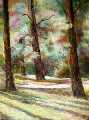   (Pushkinsky Park)